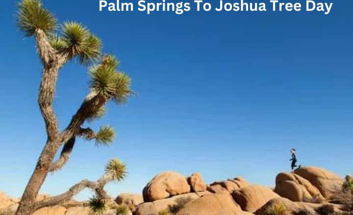 Palm Springs To Joshua Tree