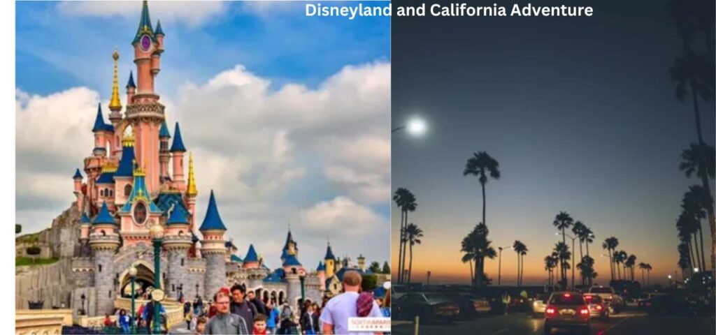 Disneyland Vs California Adventure