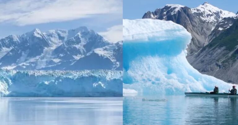 Hubbard Glacier vs Glacier Bay Alaska